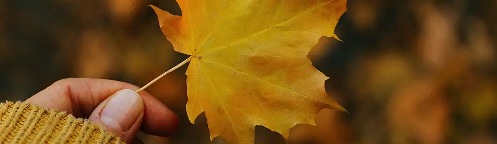 Picture of a girls hand on a fall leaf